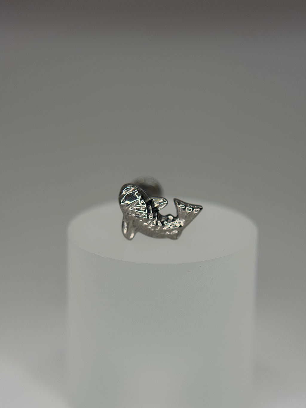 Labret Titânio carpa
