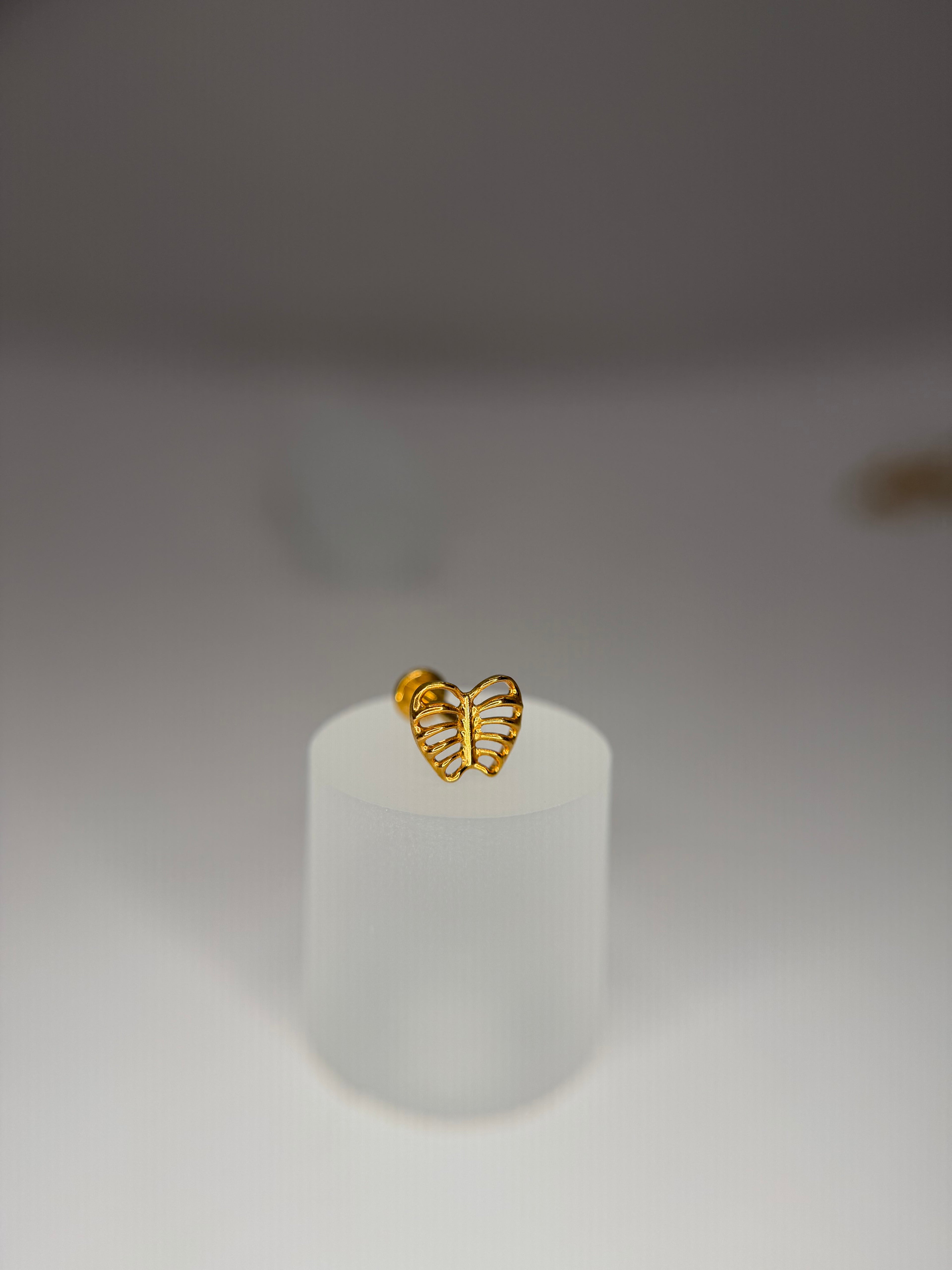 Labret Titânio Costela de Adão
