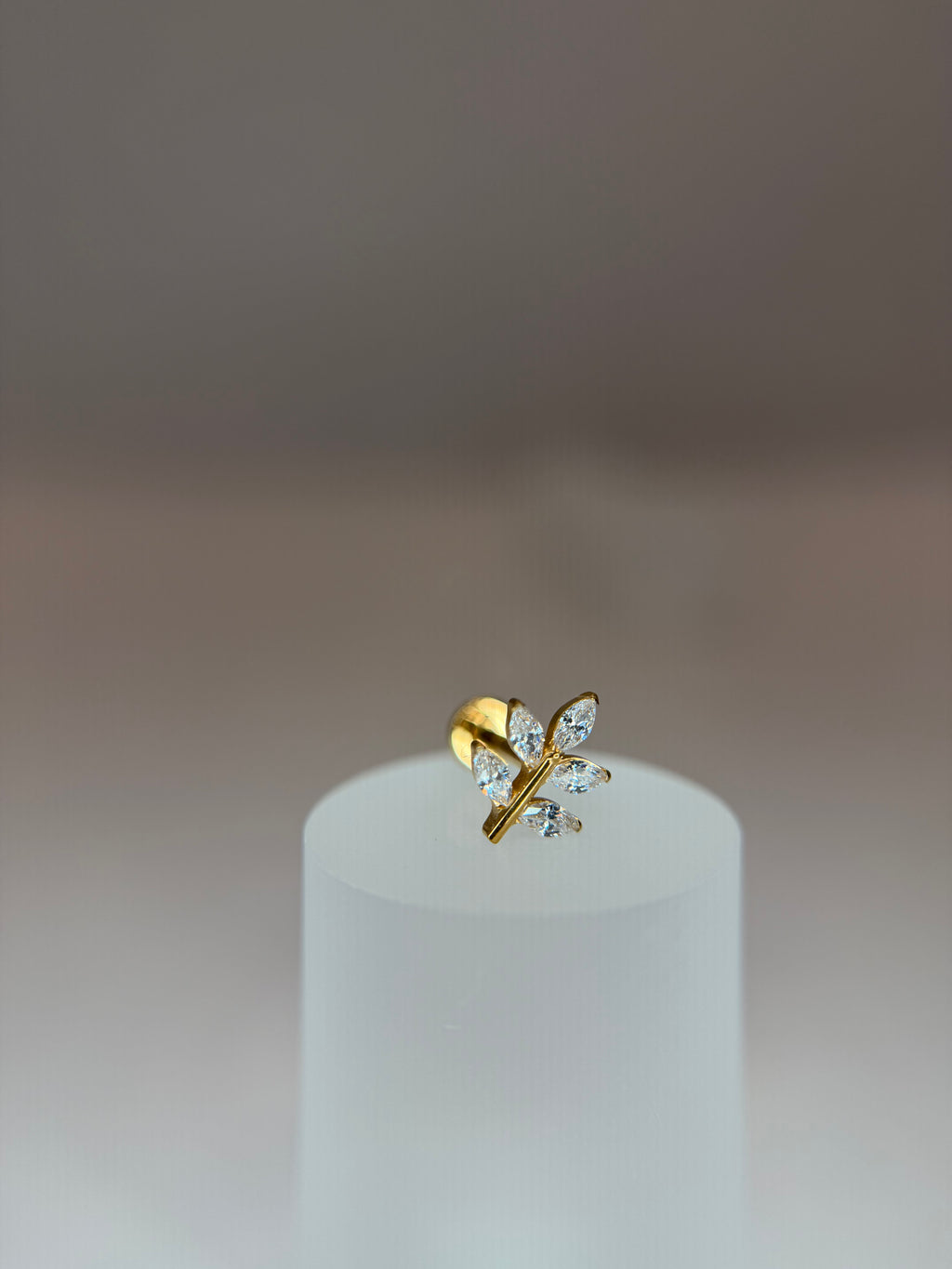 Labret Titânio ramo p