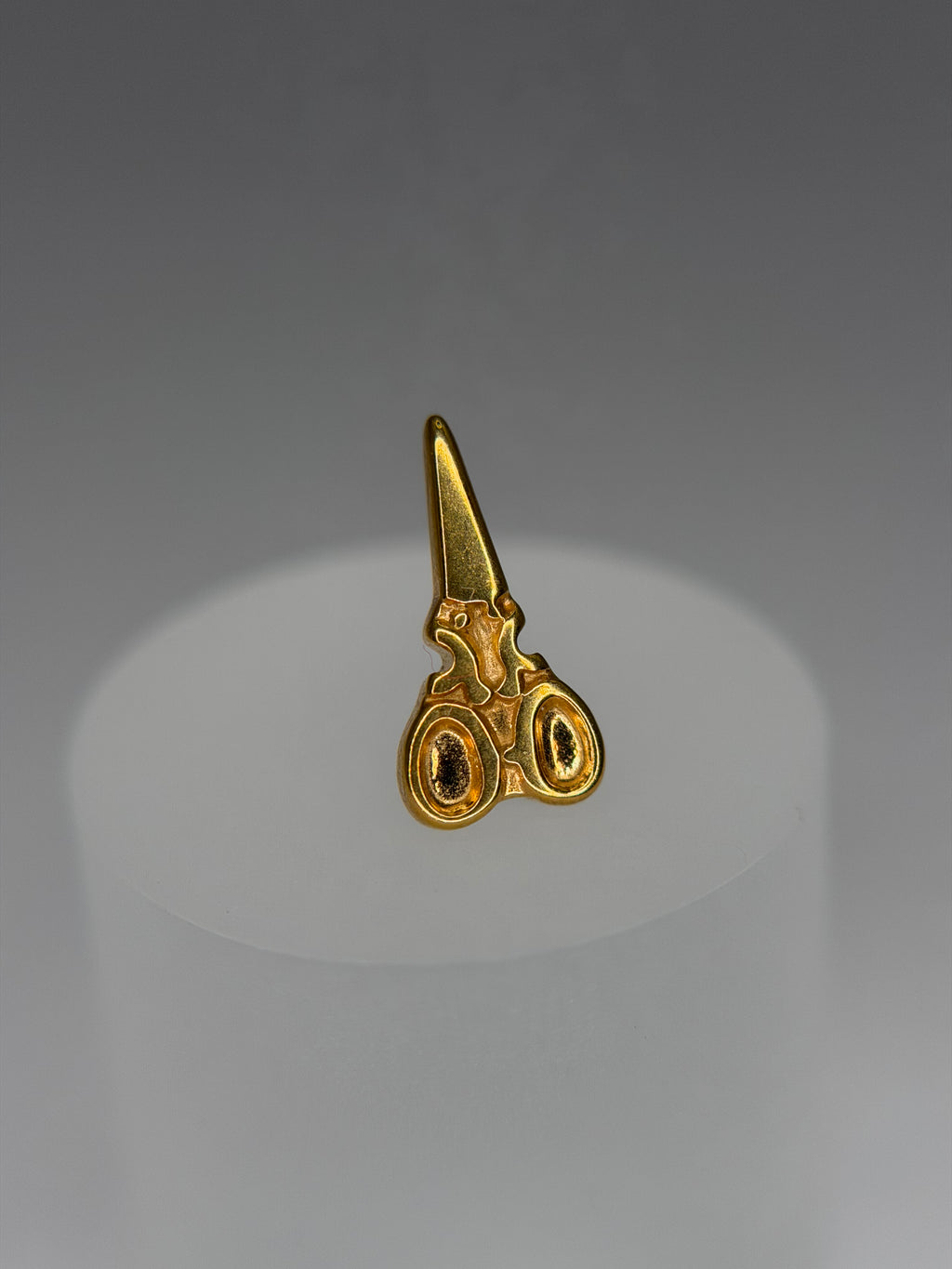 Labret Titânio tesoura