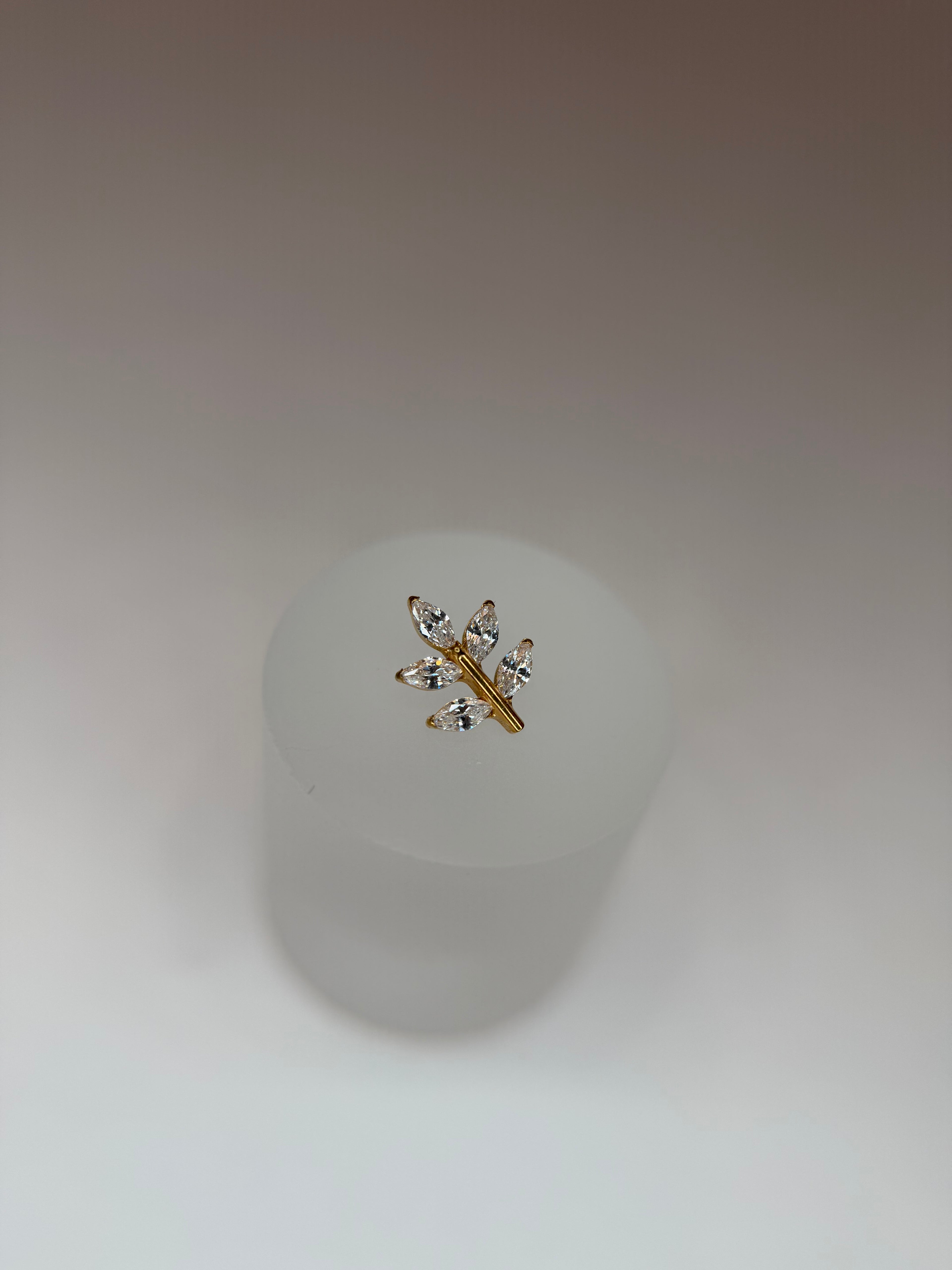 Labret Titânio ramo p