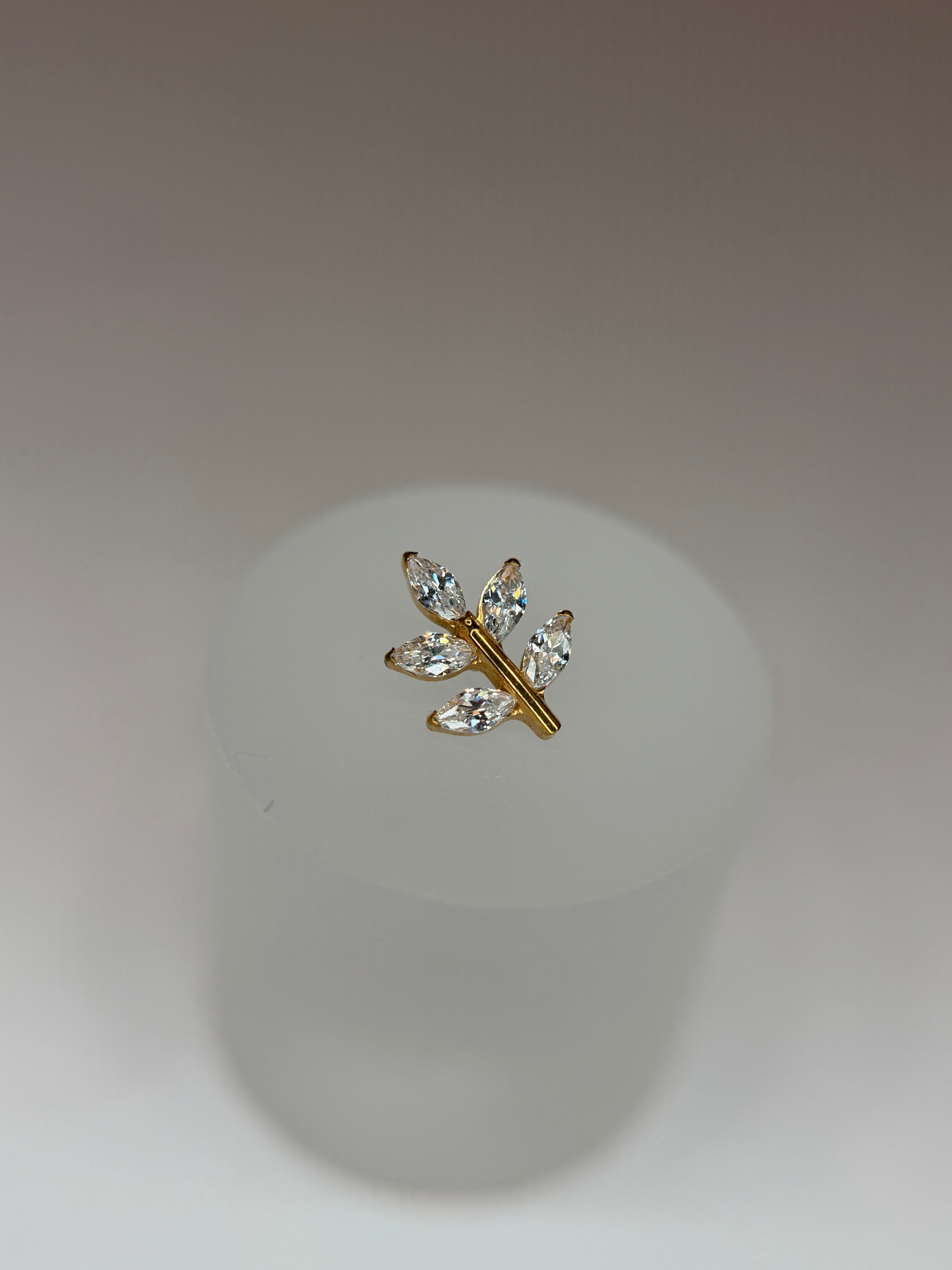 Labret Titânio ramo p