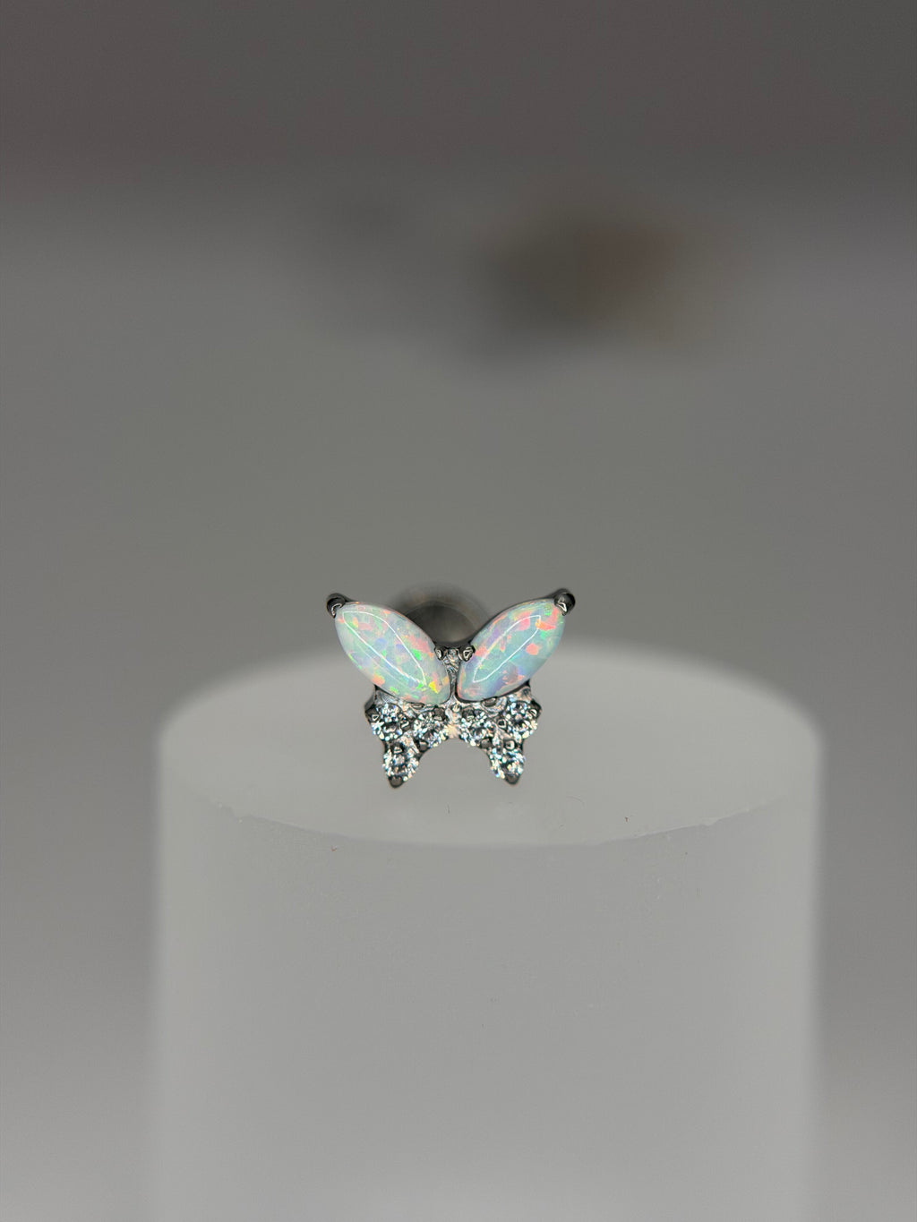 Labret  Titânio Borboleta opalla