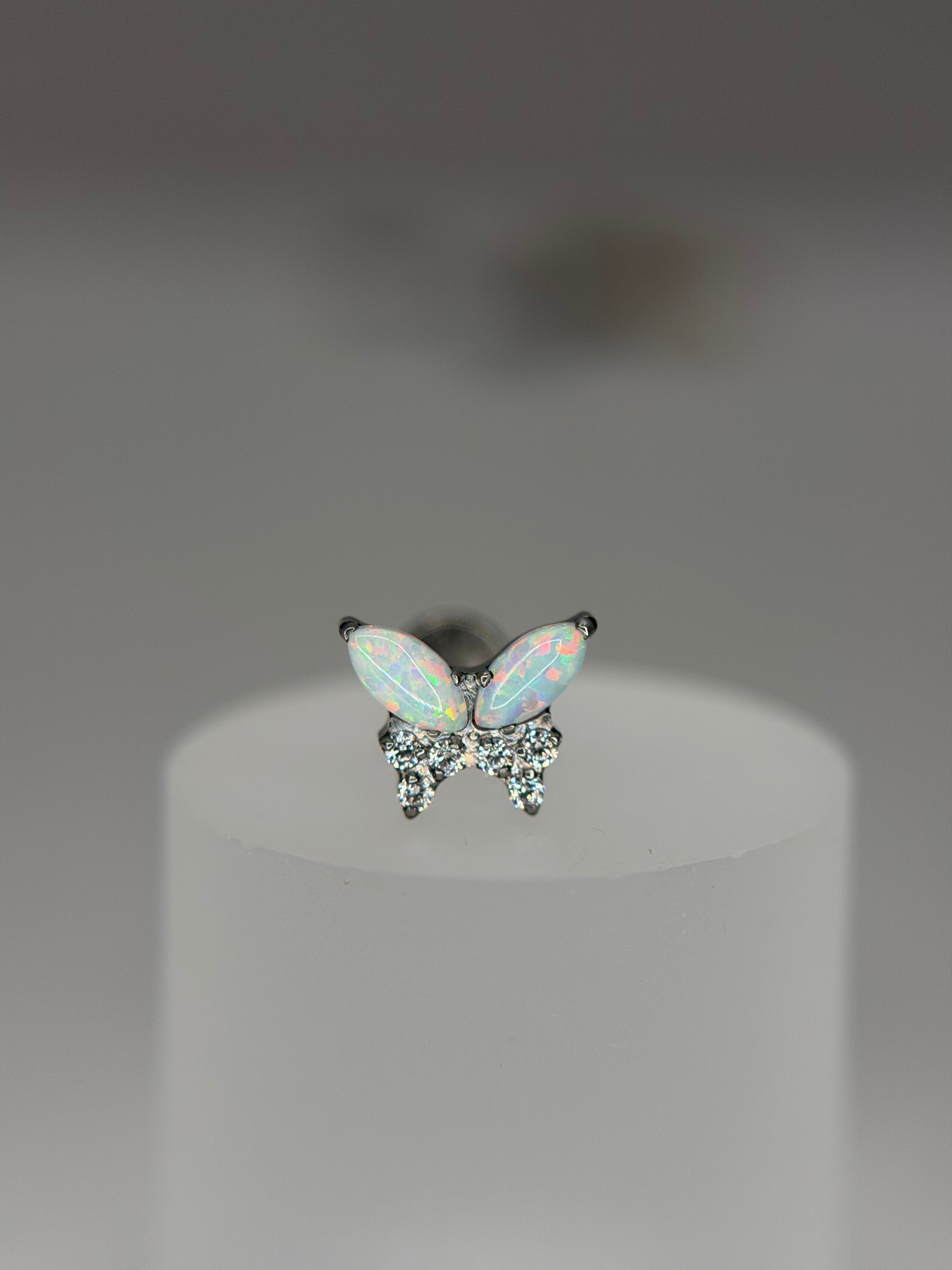 Labret  Titânio Borboleta opalla