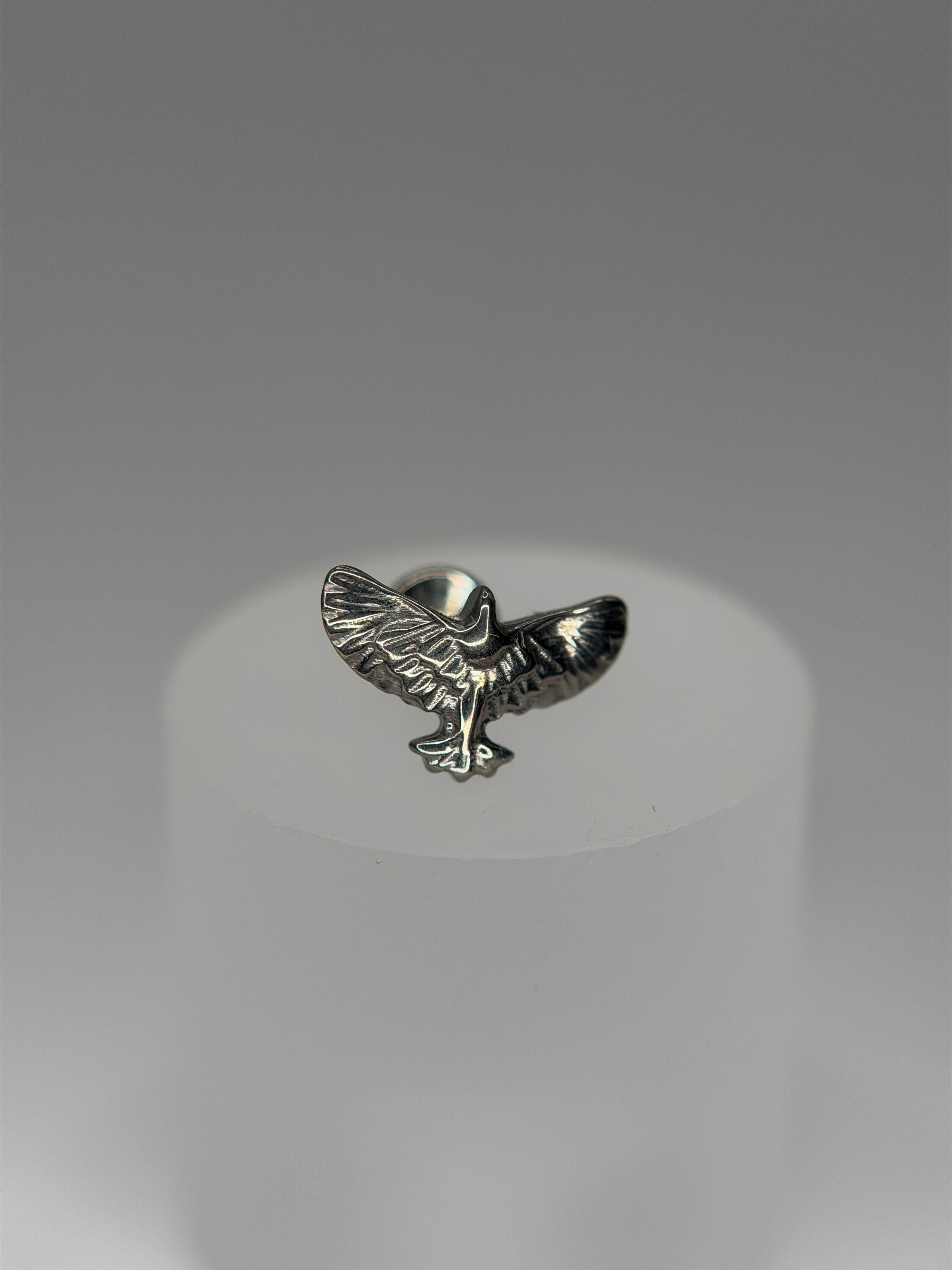 Labret Titânio águia