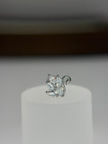 Labret cisne cravejado