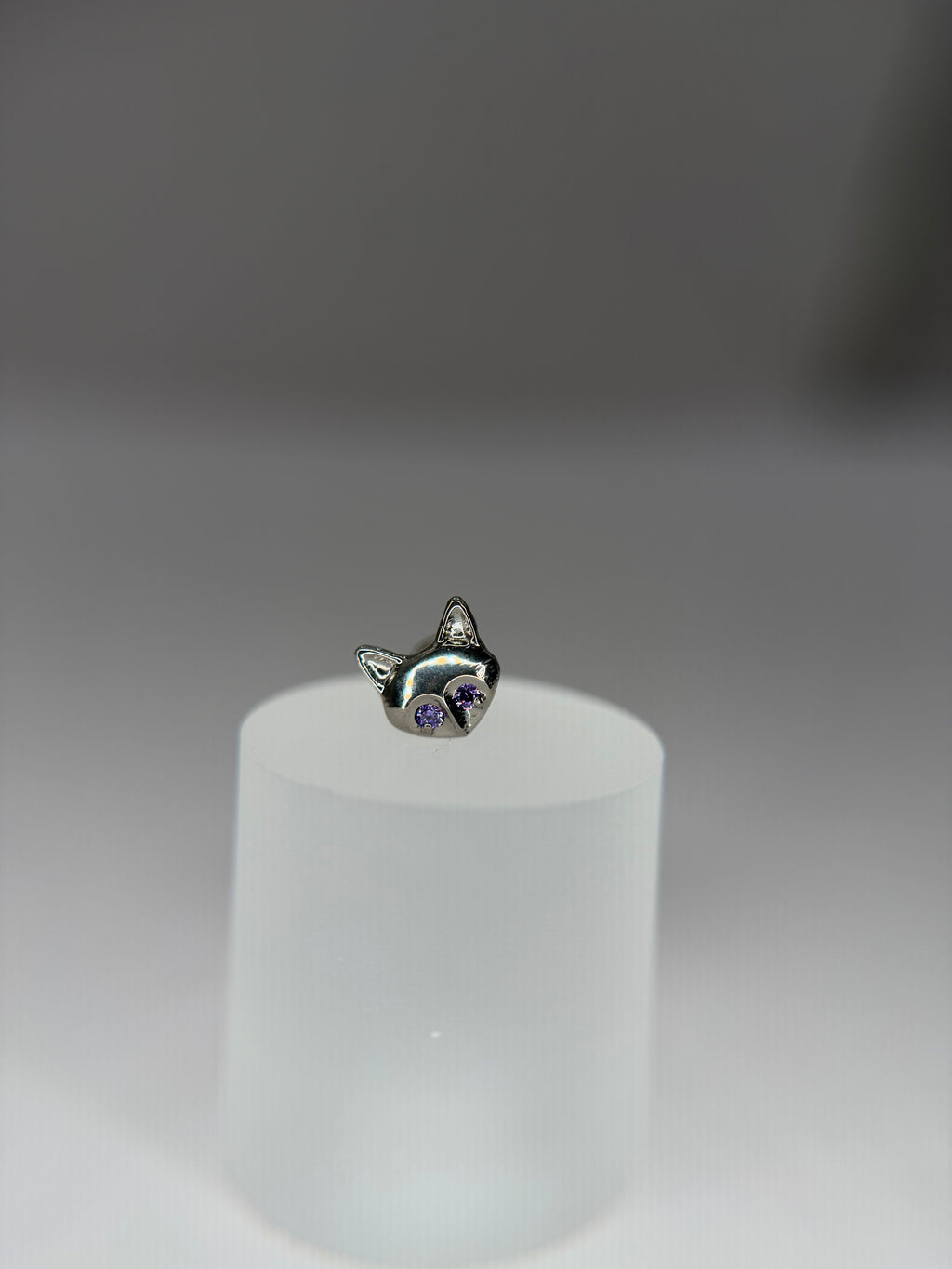 Labret Titânio Raposa olho cravejado (roxo)